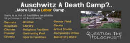 thumbnail of Auschwitz-the-Facts-1.png