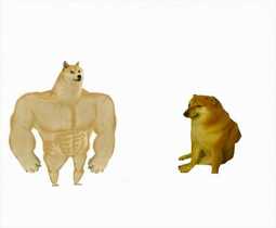 thumbnail of strong-dog-vs-weak-dog.jpg