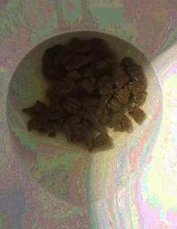thumbnail of wzdFLZ0go5.jpg