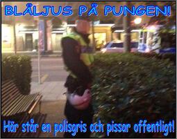 thumbnail of Polispiss.jpg