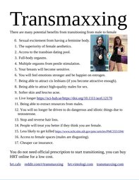 thumbnail of transmaxxing.jpg