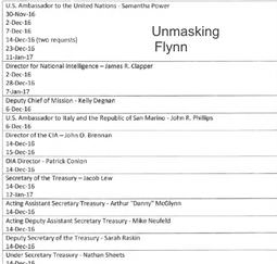 thumbnail of Unmasking Flynn_1.png