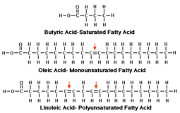 thumbnail of saturated-monounsat-and-polyunsat-fatty-acids-diagram.png