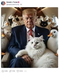 thumbnail of Trump4DonaldDuck&thePussyCats.JPG