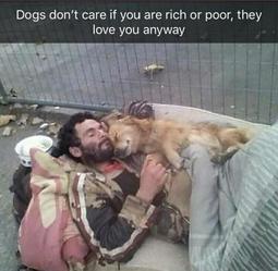 thumbnail of homelessdoglove.jpg