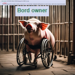 thumbnail of pork_owner.png