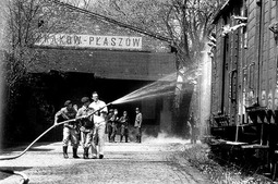 thumbnail of 73625.jpg