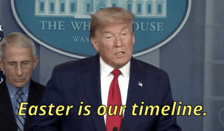 thumbnail of timeline.gif