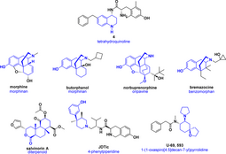 thumbnail of kappa-opioid-receptor-ligands.png