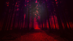 thumbnail of artistic-red-forest-23-1920x1080.jpg