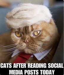 thumbnail of PuddyCats4TRUMP_meme.JPG