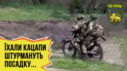 thumbnail of 53853653.mp4