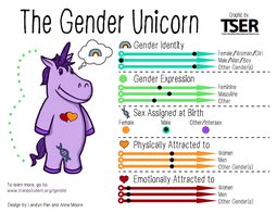 thumbnail of genderunicornexample1-scaled.jpg