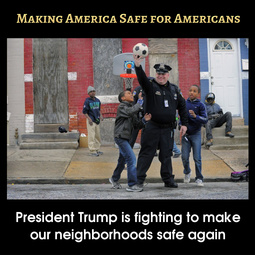 thumbnail of SafeAgain6-TrumpSuccess.jpg