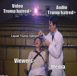 thumbnail of media-trump-hatred-x1.jpg