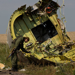 thumbnail of new-video-allegedly-shows-aftermath-of-mh17-crash-in-ukraine-1416157613.jpg