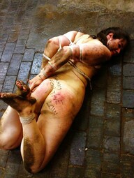 thumbnail of 1C4E215.jpg
