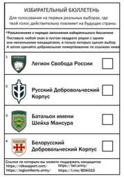 thumbnail of выборы.png