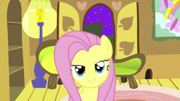 thumbnail of Fluttershy,_about-O_O.webm