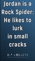 thumbnail of Rock Spider.jpg