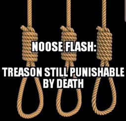thumbnail of treason-flash-x224.jpg