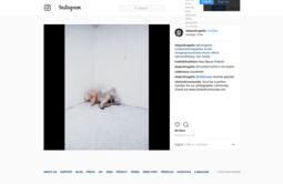 thumbnail of Alejandro_Gatta_on_Instagram_“photograhy_chileanphotographer_color_longexposureshots_room_flesh_photooftheday_art_white”_-_2018-05-02_13.39.51.png