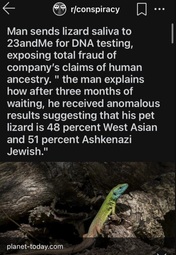 thumbnail of lizard kikes DNA test.jpg