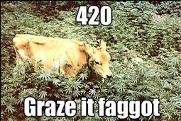 thumbnail of 420 graze it.jpg