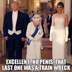 thumbnail of Melania_Excellent.png