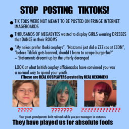 thumbnail of STOP POSTING TIKTOKS!.png