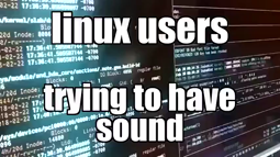 thumbnail of linux users trying to have sound.mp4