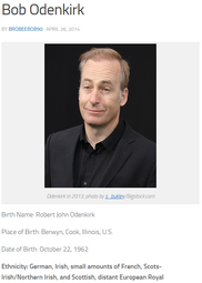 thumbnail of Bob Odenkirk.png