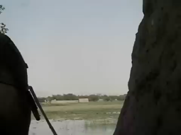 thumbnail of HIMARS Missile Impact On Taliban Position Afghanistan.mp4