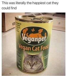 thumbnail of vegan cat2.jpg