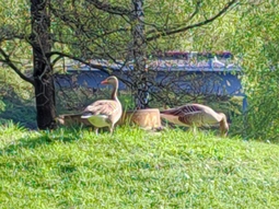 thumbnail of IMG_20250419_175258.jpg
