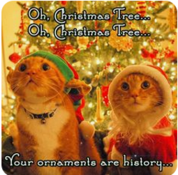 thumbnail of cat_christmas_.PNG