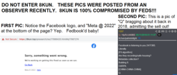 thumbnail of 8kun Meta Facebook Owned.png