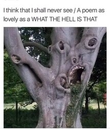 thumbnail of Angry tree.jpg