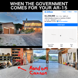 thumbnail of When the government comes.png
