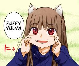 thumbnail of puffyvulva.jpeg