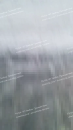 thumbnail of 8GaTRgGFrBxNVOLr.mp4