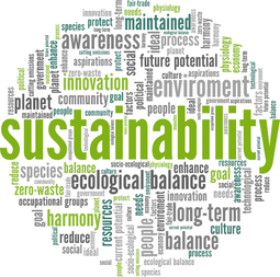thumbnail of Sustainability.jpg