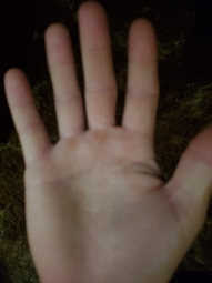 thumbnail of 33996541.jpeg