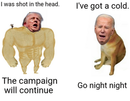 thumbnail of Biden cold.png