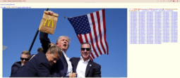 thumbnail of trump_mcdonalds.PNG