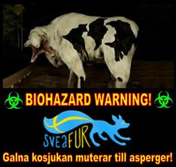 thumbnail of biohazard_aspcow_671175dde087c31e806a5c0b.jpg