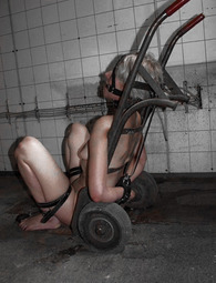 thumbnail of 094C07F.jpg
