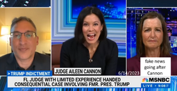 thumbnail of fake news msdnc vs Judge Aileen Cannon 06142023.png
