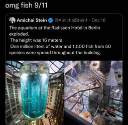 thumbnail of fish 911.jpg