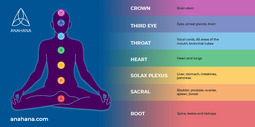 thumbnail of introducing-the-7-different-chakra-colors.jpg